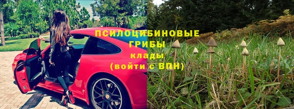 мяу мяу мука Алзамай