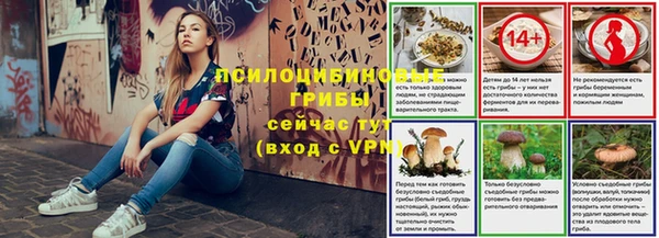 мяу мяу мука Алзамай