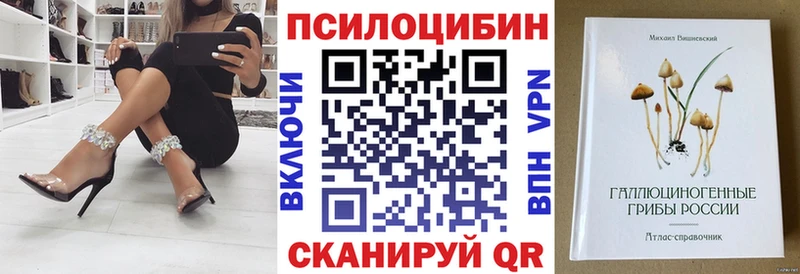 мега маркетплейс где купить наркоту Находка Псилоцибиновые грибы мухоморы