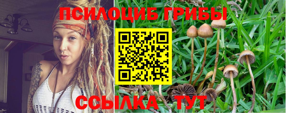 Галлюциногенные грибы мицелий Находка
