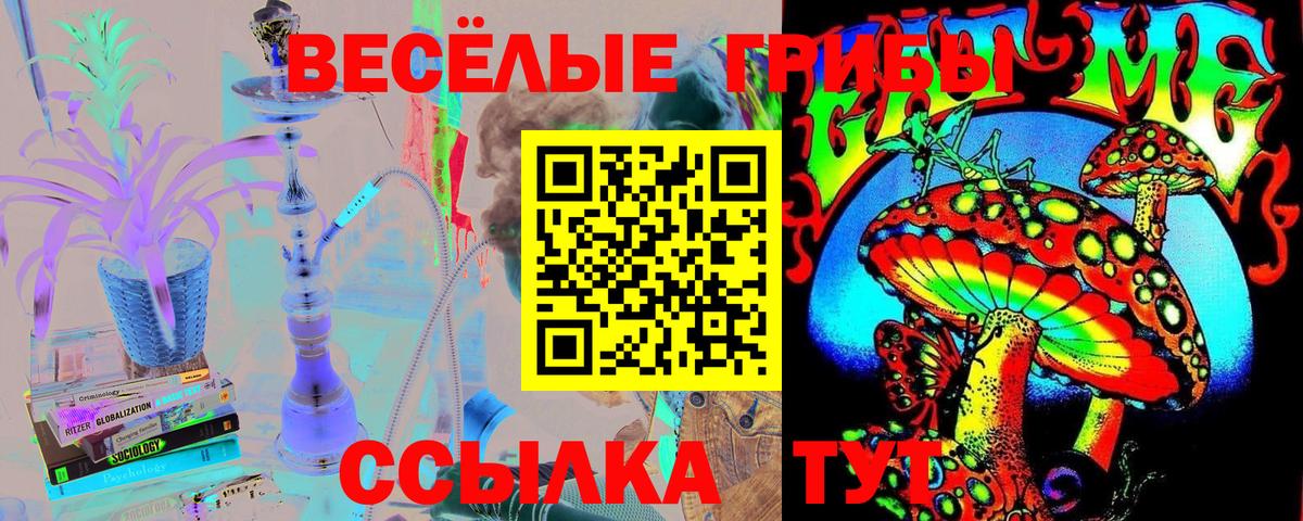 Псилоцибиновые грибы прущие грибы  Вход с VPN  Находка 